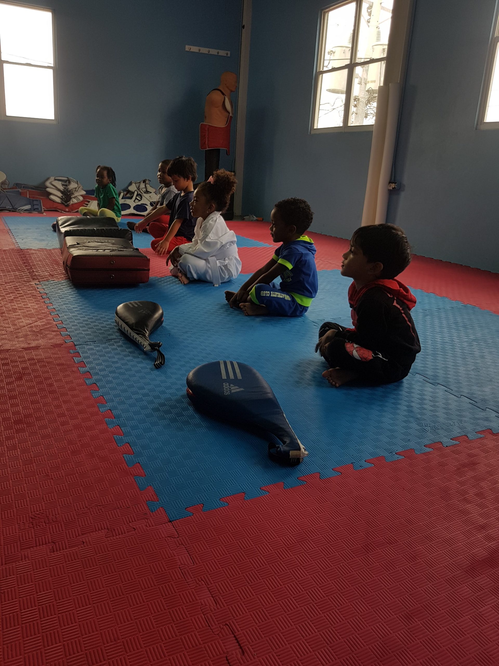 Kids 5-6 Taekwondo (1 Month)